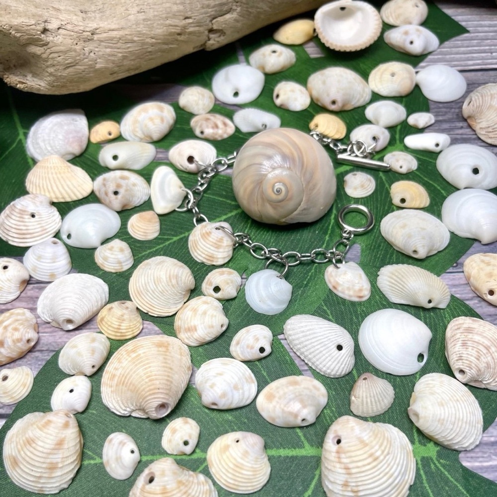 55pc FLORIDA SHELLS DIY TOGGLE CHARM BRACELET JEWELRY CRAFTS LOT W NATURAL HOLES